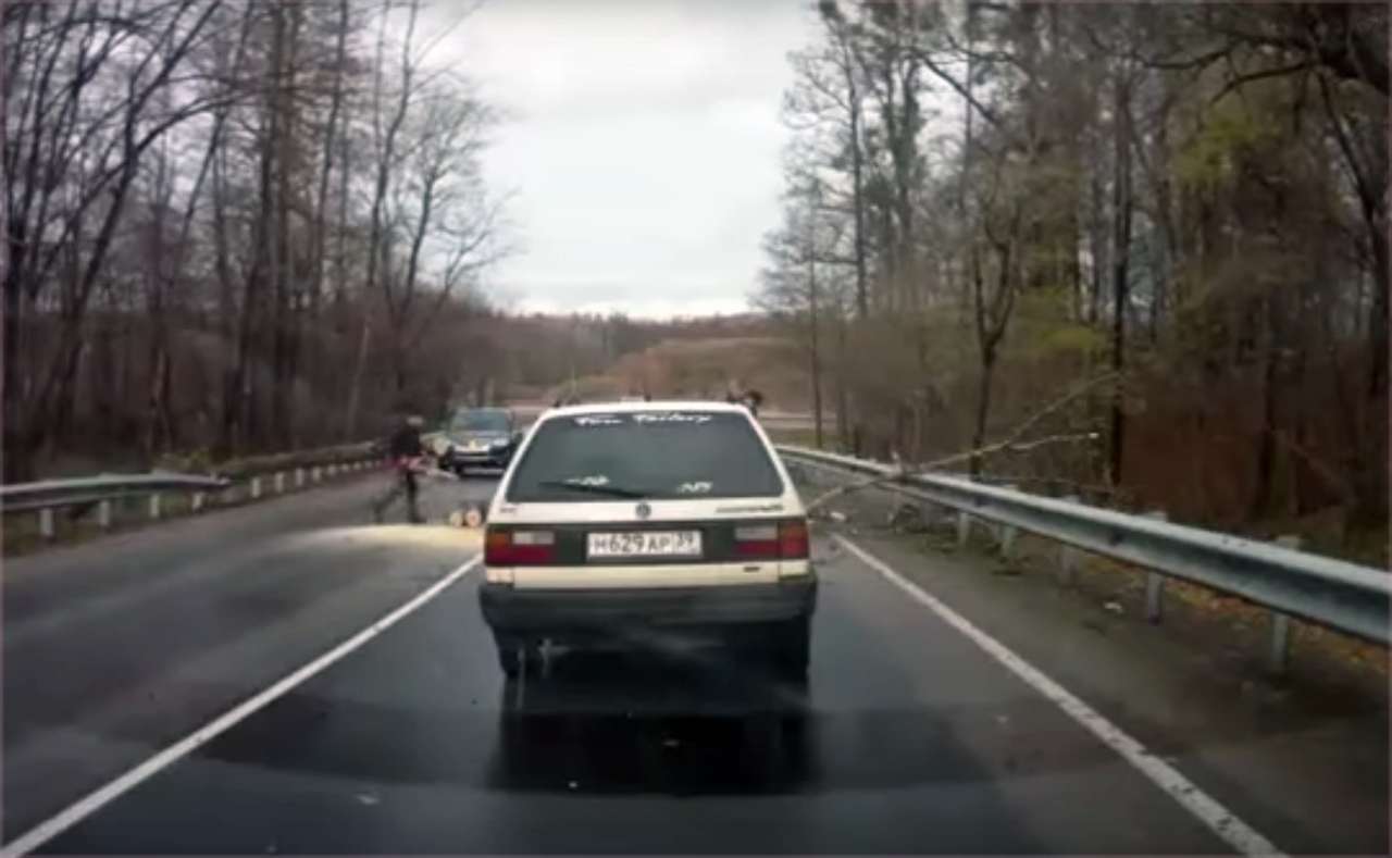 Бензопила оказалась кстати