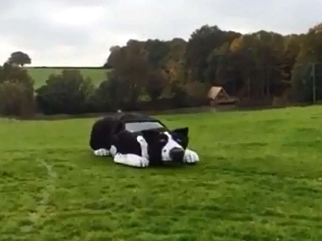 Фермер построил собаку-автомобиль (ВИДЕО)