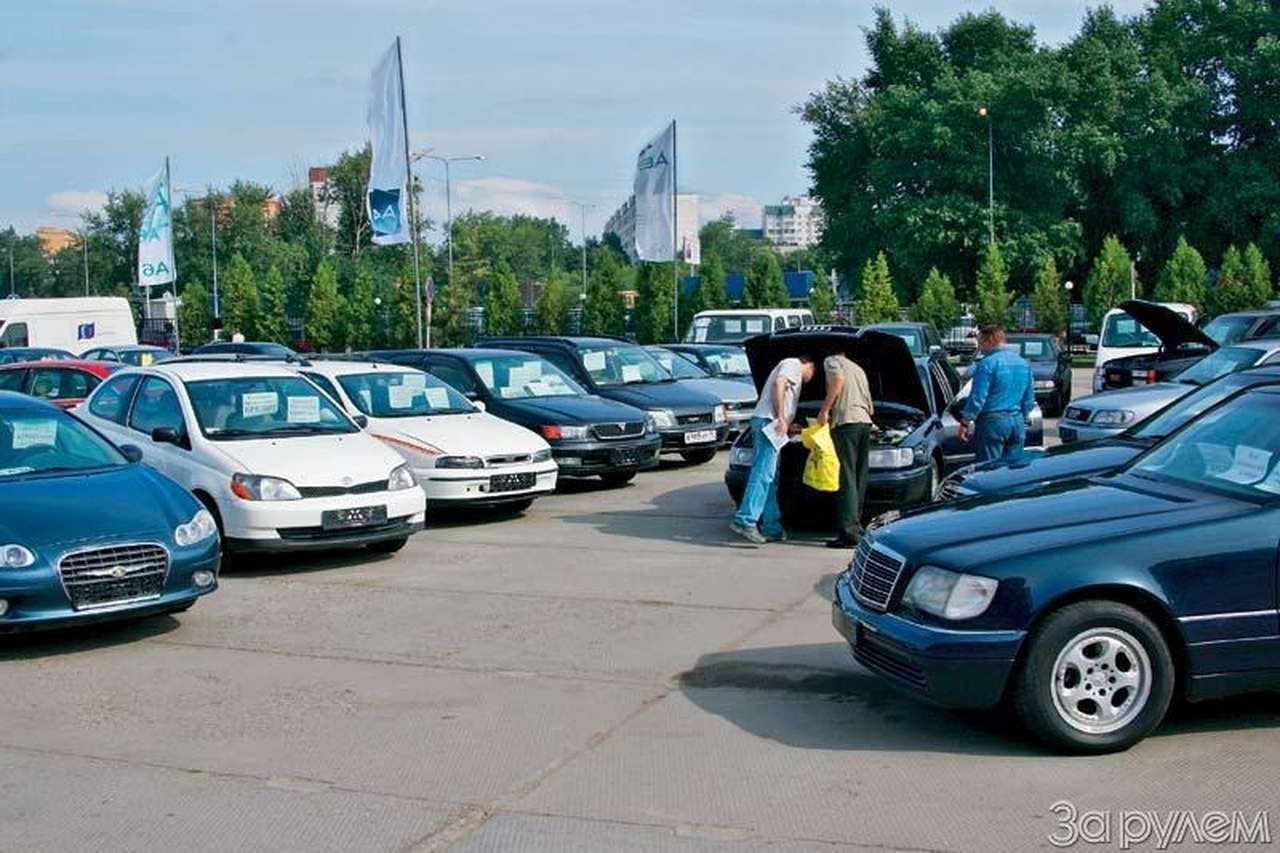 Рудимент или атавизм?