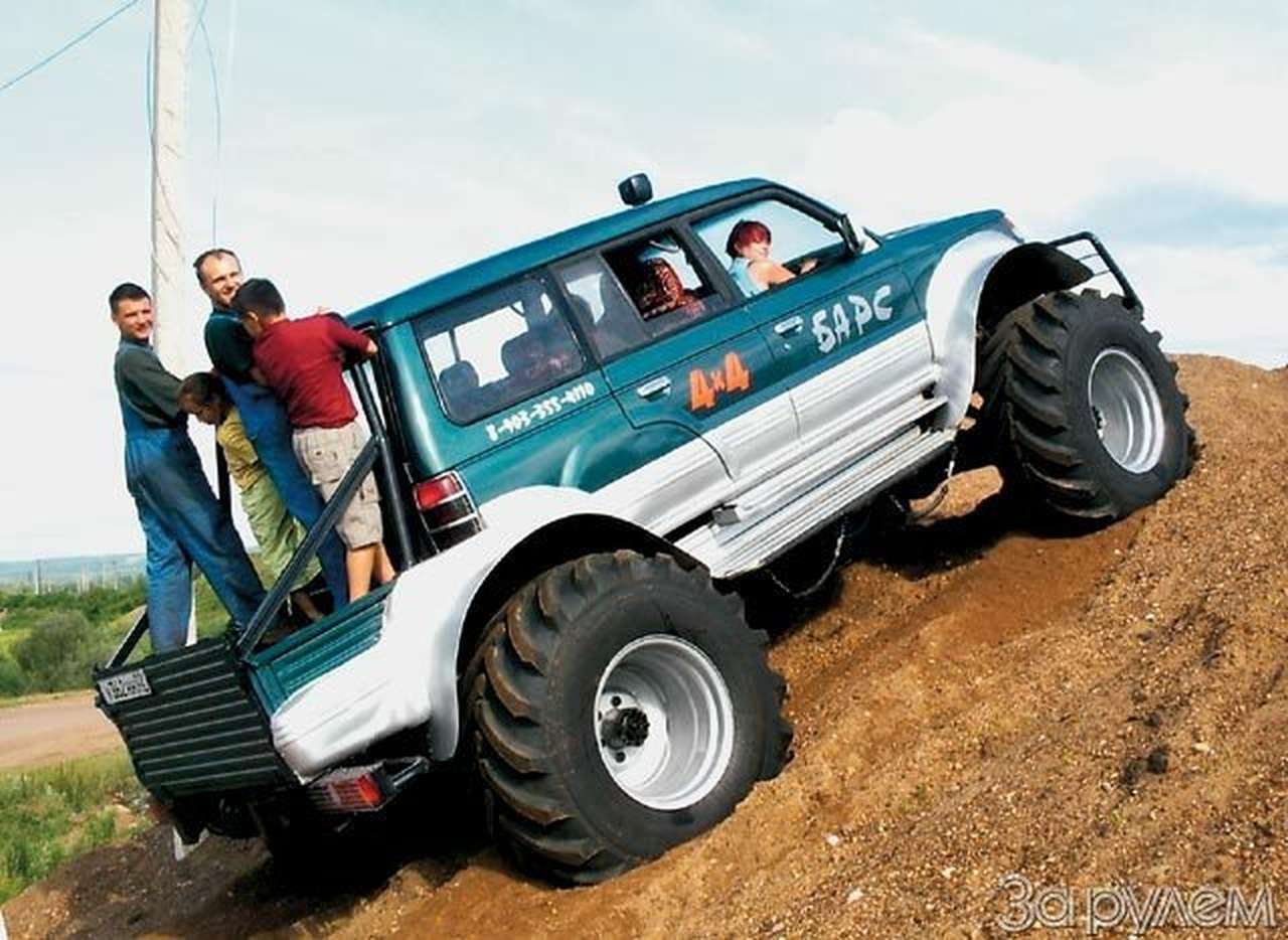 Башкирский барс