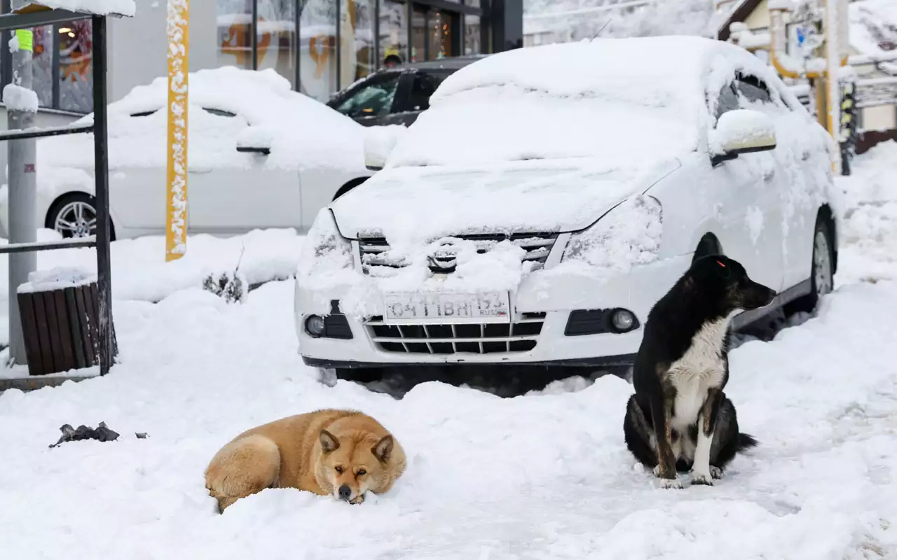Зимние сугробы на парковках не отменяют ПДД: за это нарушение легко прилетит штраф