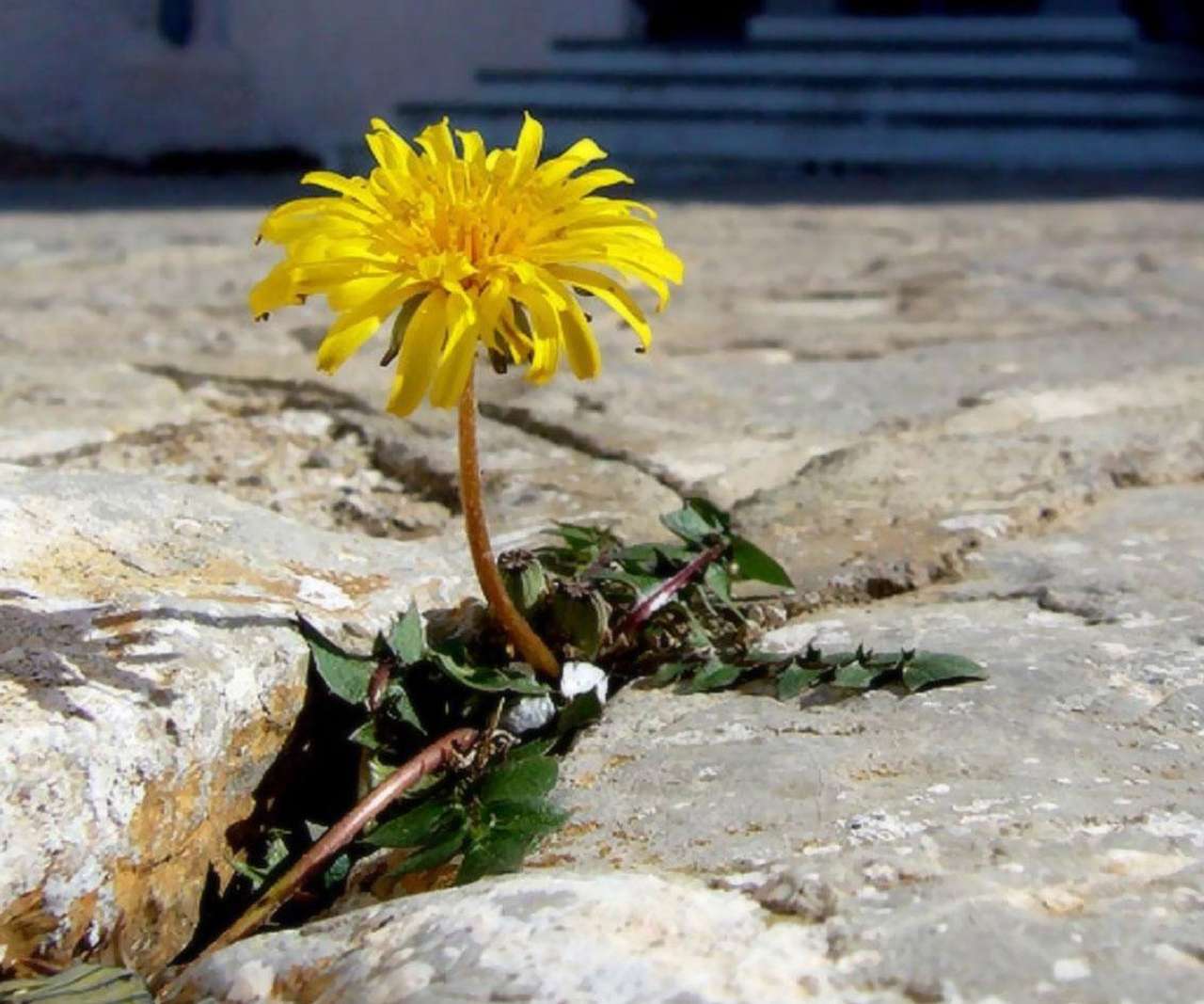 Опрос ЗР: Как изменились наши дороги и нужно ли их «лечить»?