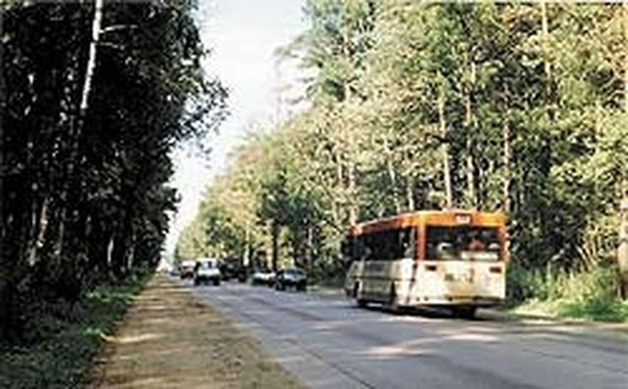 На Киевском шоссе обнаружилась аномальная зона