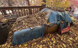 Porsche 911 30 лет проспал под сосновыми иголками, и вот что в итоге