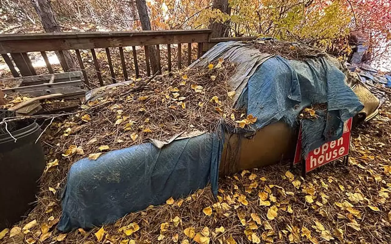 Porsche 911 30 лет проспал под сосновыми иголками, и вот что в итоге