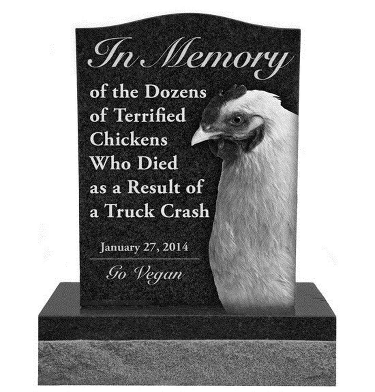 Защитники животных хотят установить памятник погибшим в ДТП курам 