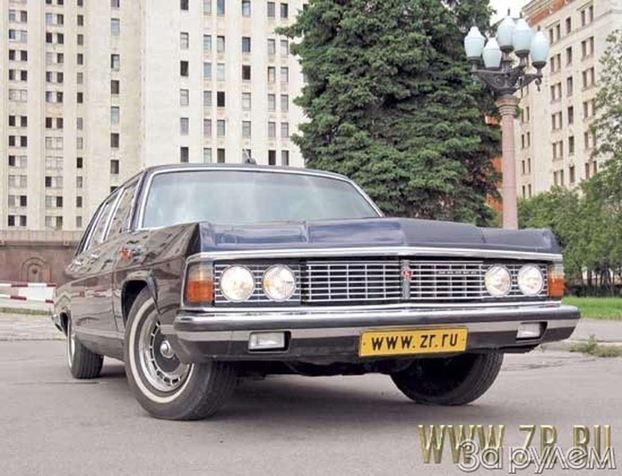 Птица певчая