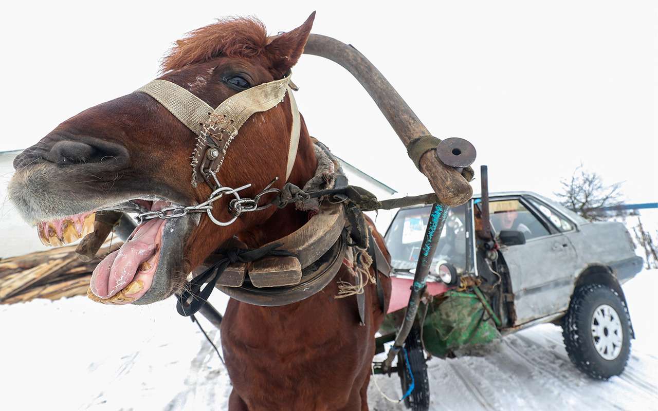 Одна лошадиная сила на картине репина