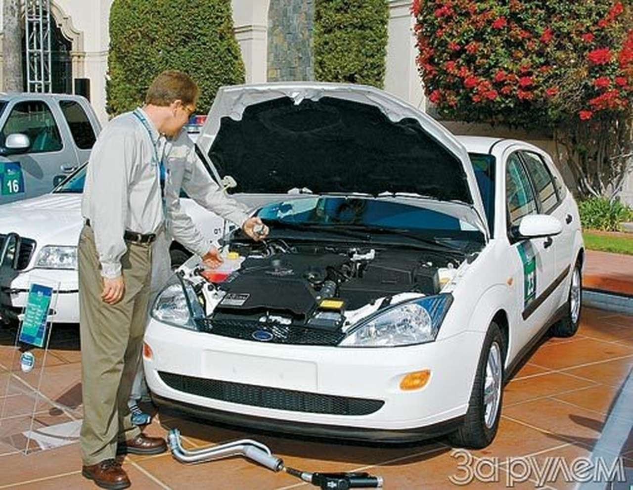 Алибабаевич на службе у "форда"