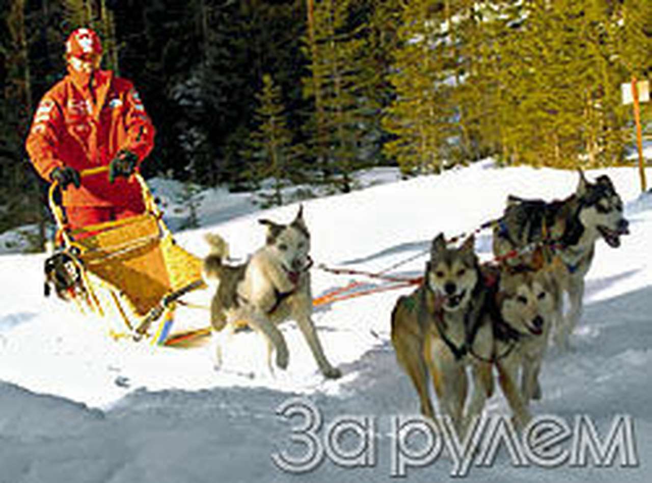 Формирование пелетона