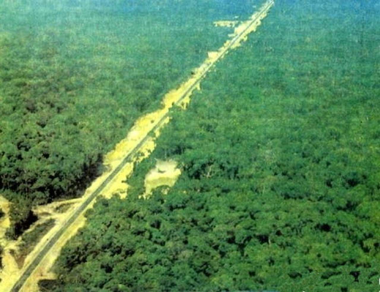 Помощник госсекретаря США встретился с защитниками Химкинского леса