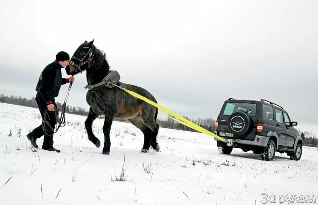Лошадиная сила