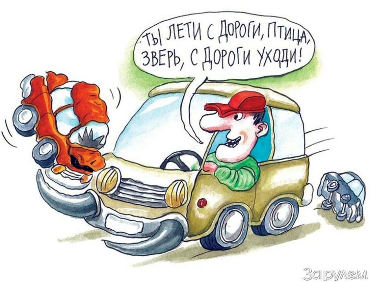 Дело о лихой «Газели»