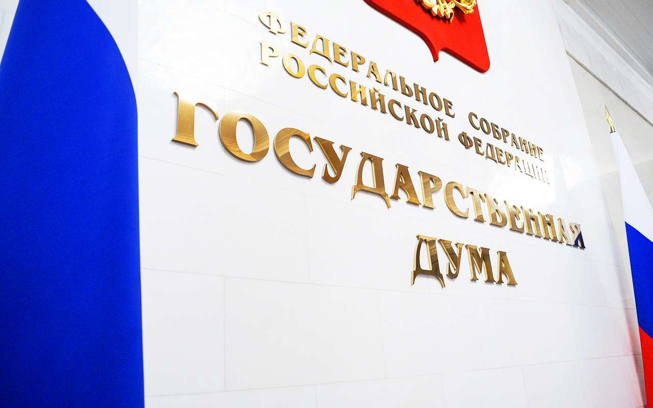 Мы вас заставим вежливыми быть: очередной проект Госдумы