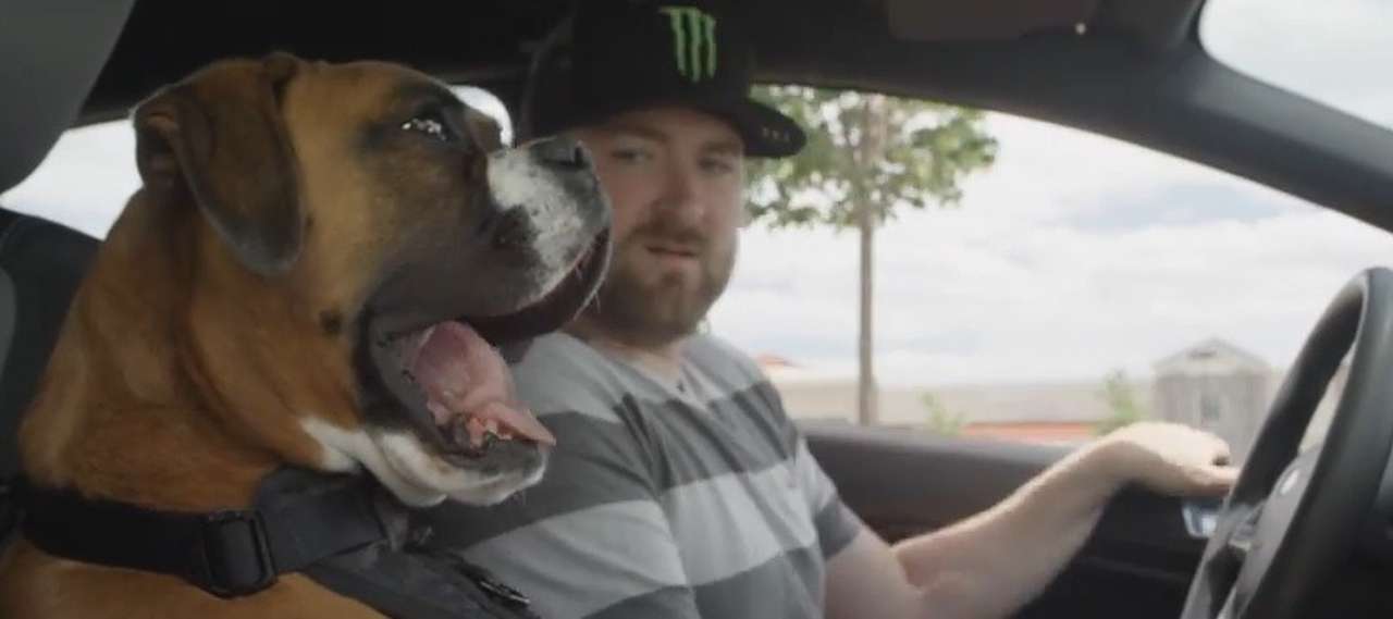 Как чемпион по дрифту и его пес ездят в супермаркет (ВИДЕО)