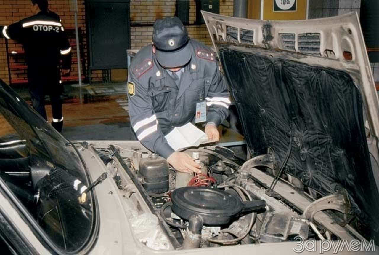 Ставим на учет. Волки и овцы