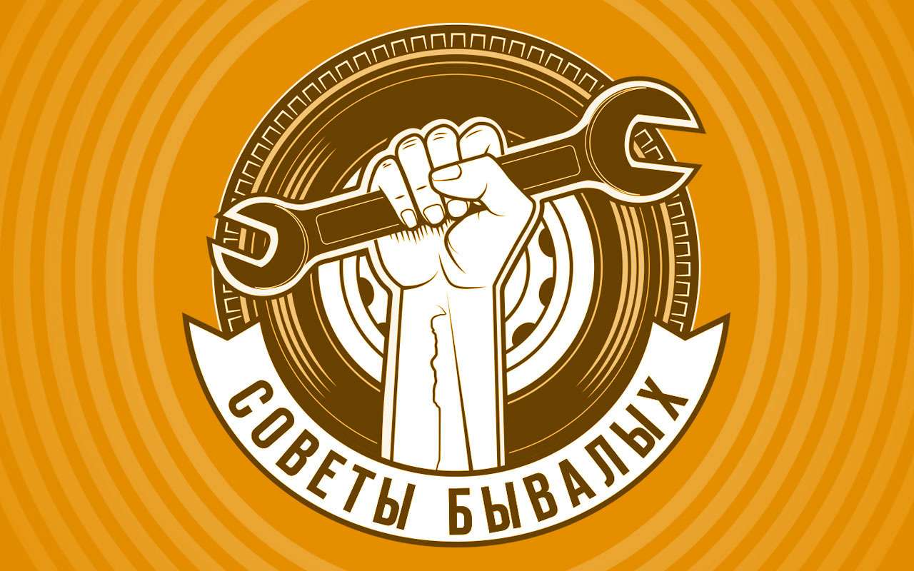 «Размножаем» очечник в машине –  простое решение