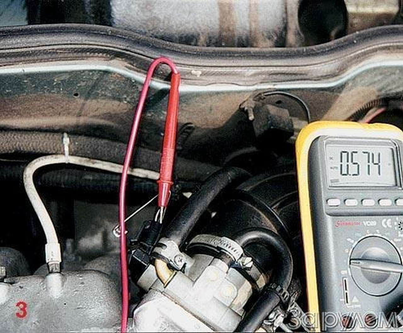 Охота на блох