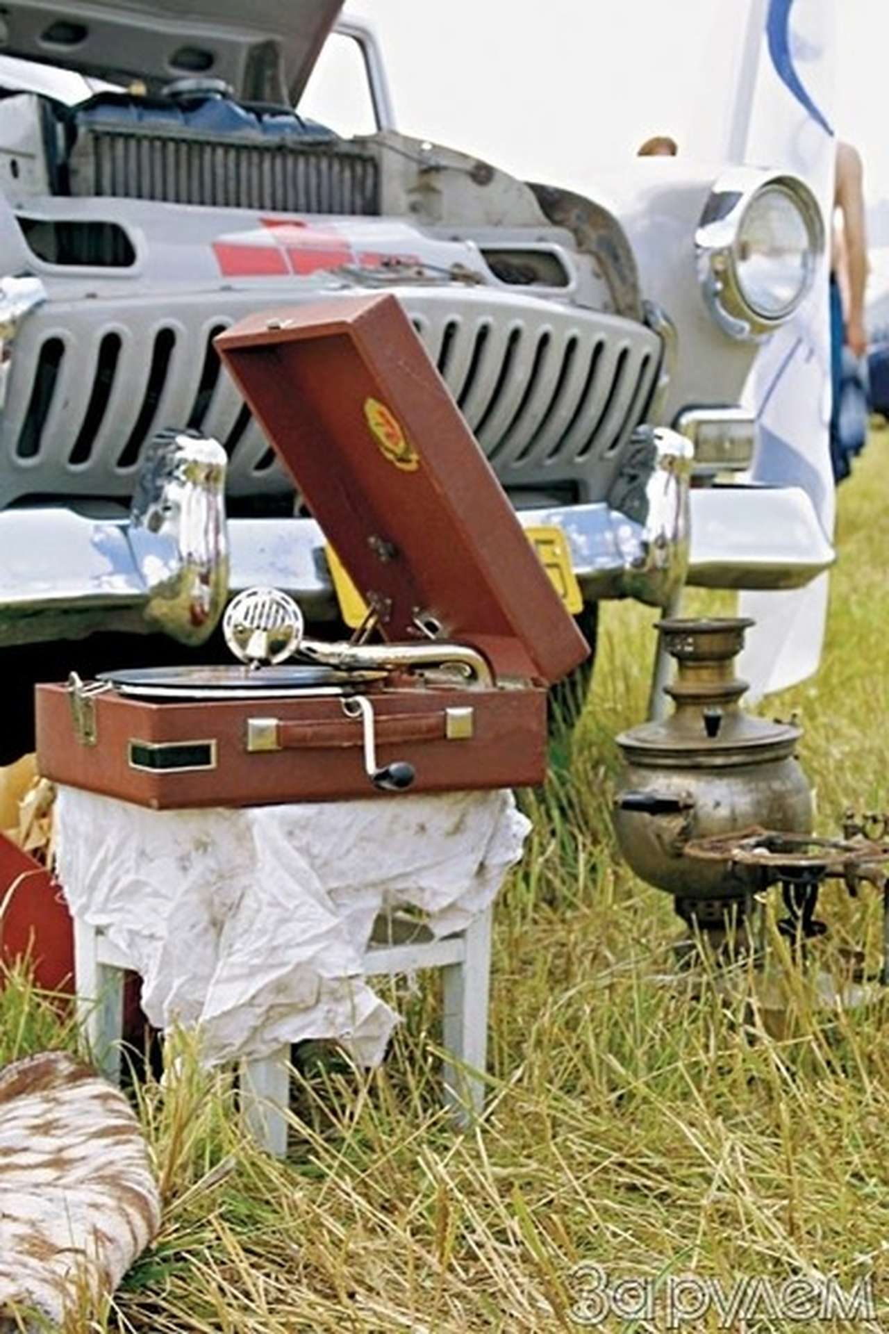 С бору по сосенке