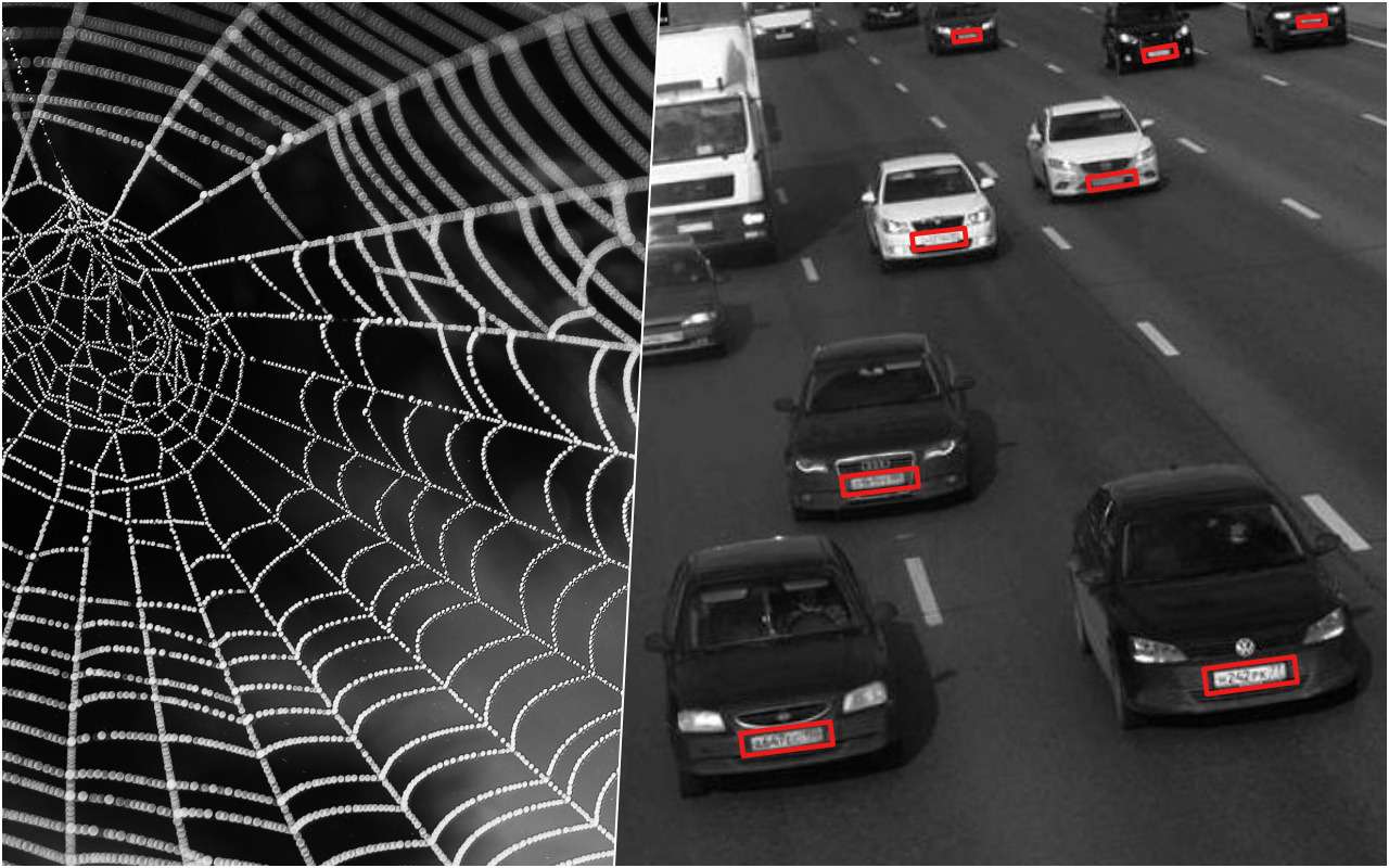 Поиск по-новому: российские дороги окутают «Паутиной»