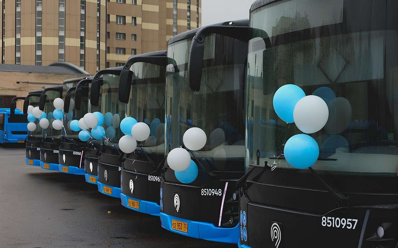 ЛиАЗы коммерческих перевозчиков в Москве