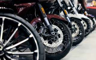 «Мотовесна» – встречаем десять лет вместе