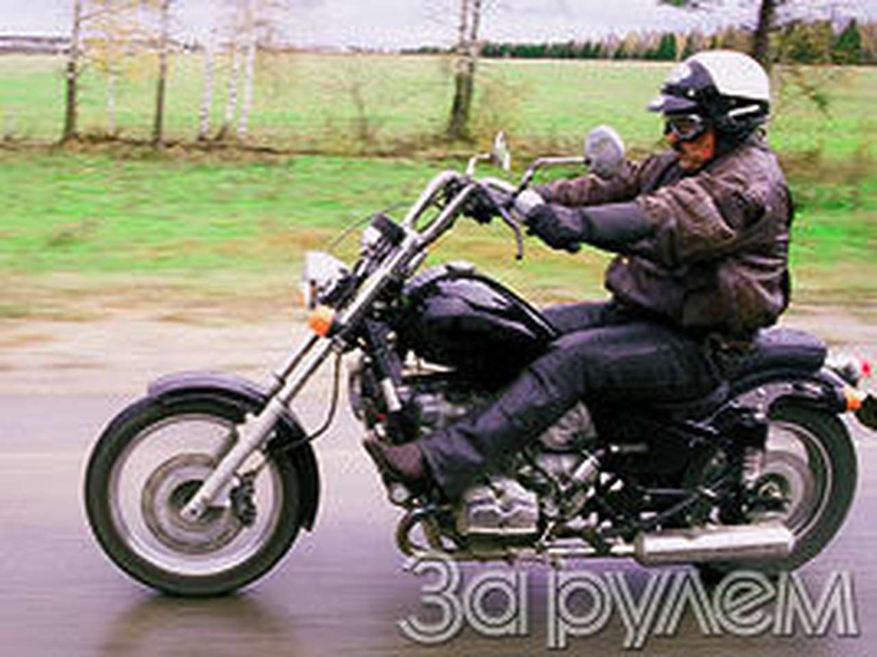 Плохой хороший "волк"