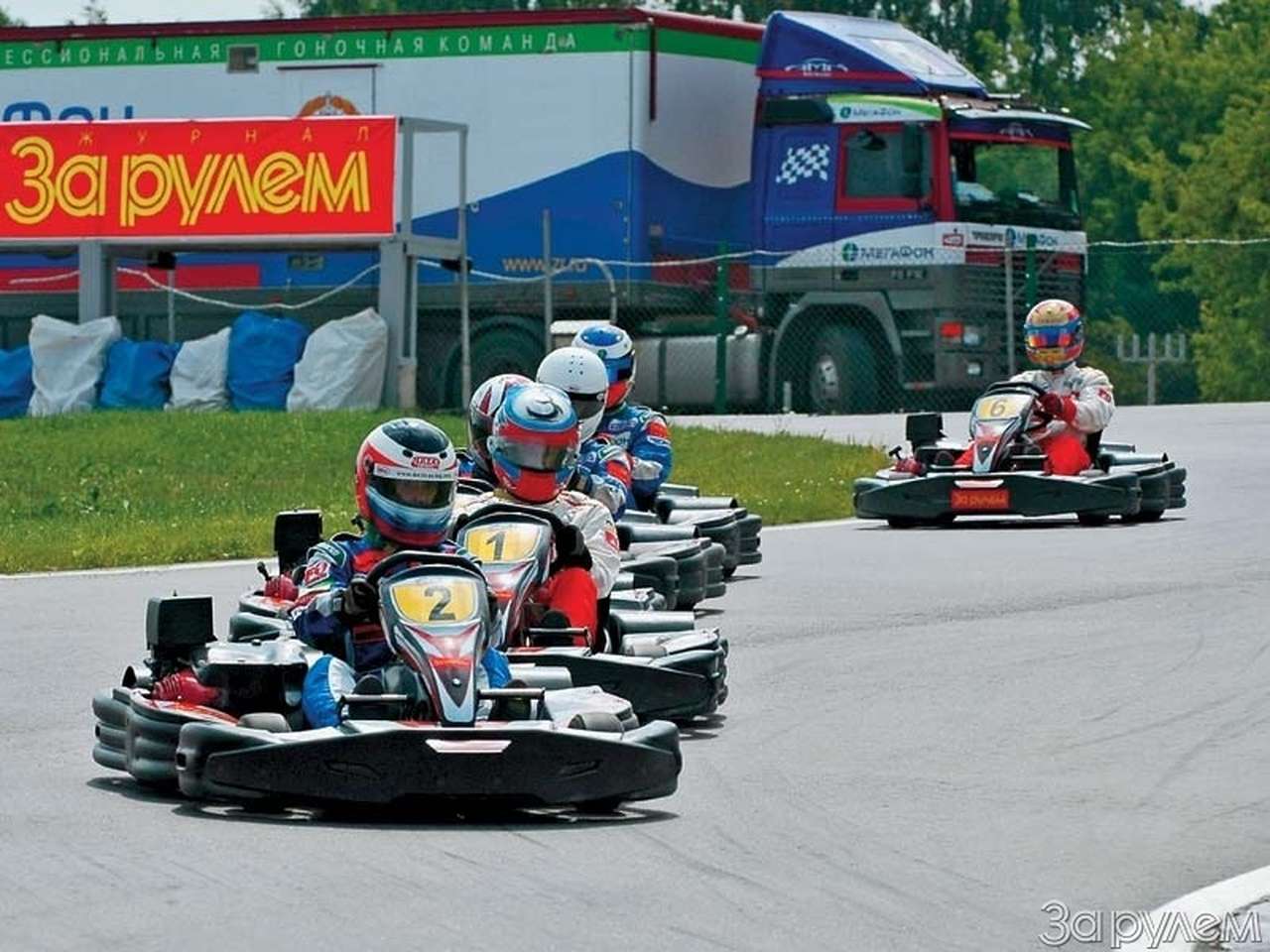 "Гарнир" всему голова