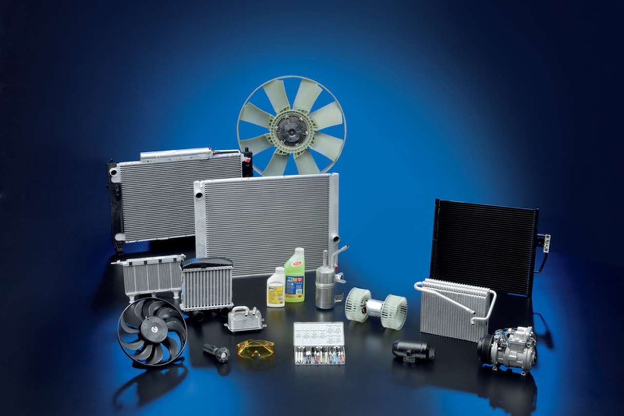 Правильная диагностика: формула идеального климата