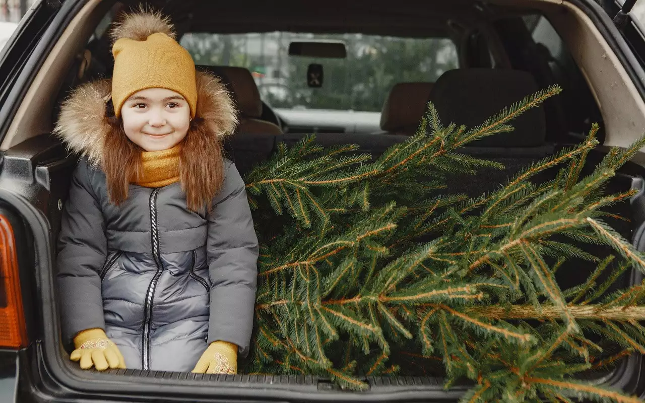 За эти новогодние украшения можно лишиться прав