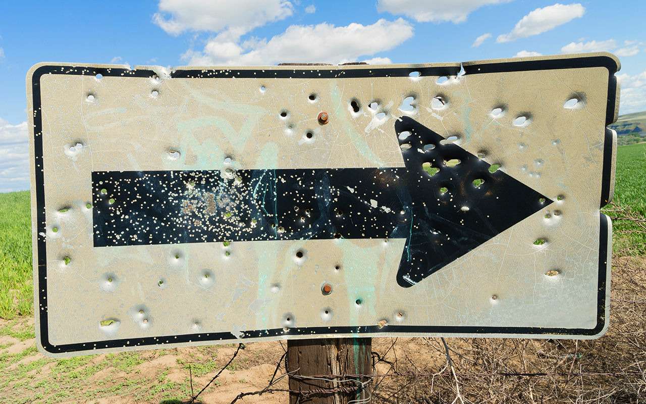 Стрельба по дорожным знакам стала новым хобби жителей Саратовской области
