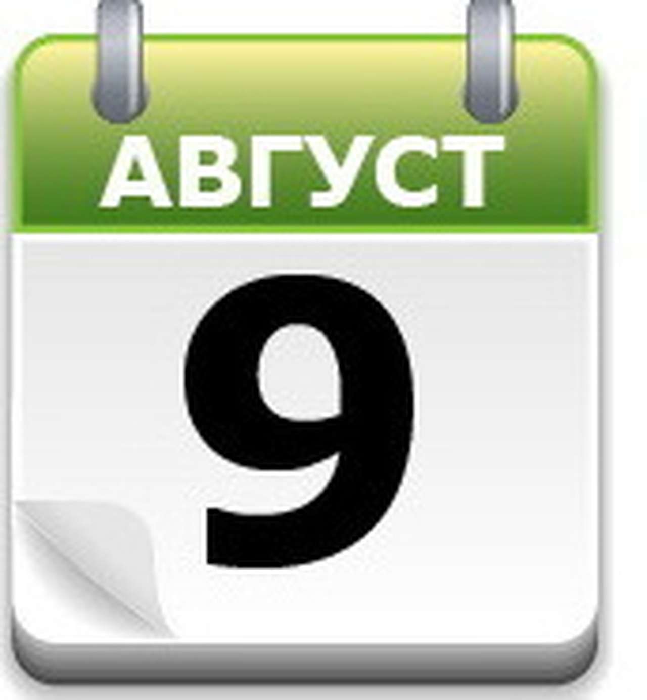 Зубр из Беловежской пущи