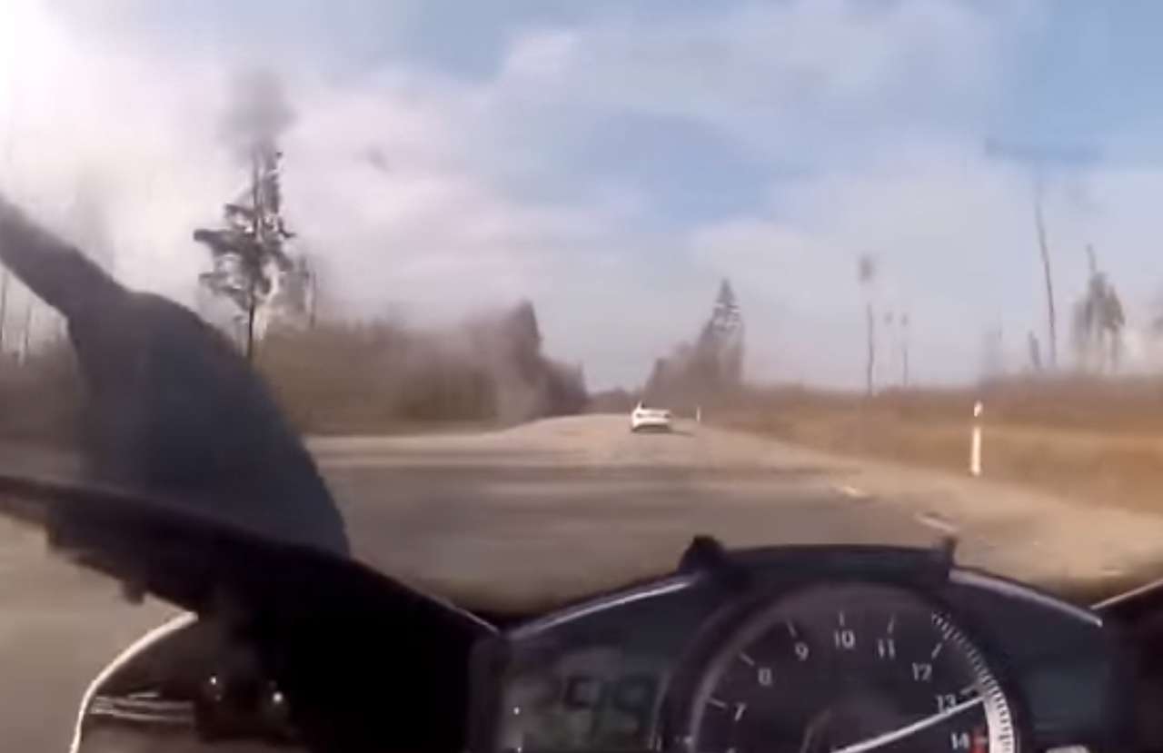 Топ-12 видеокурьезов весны