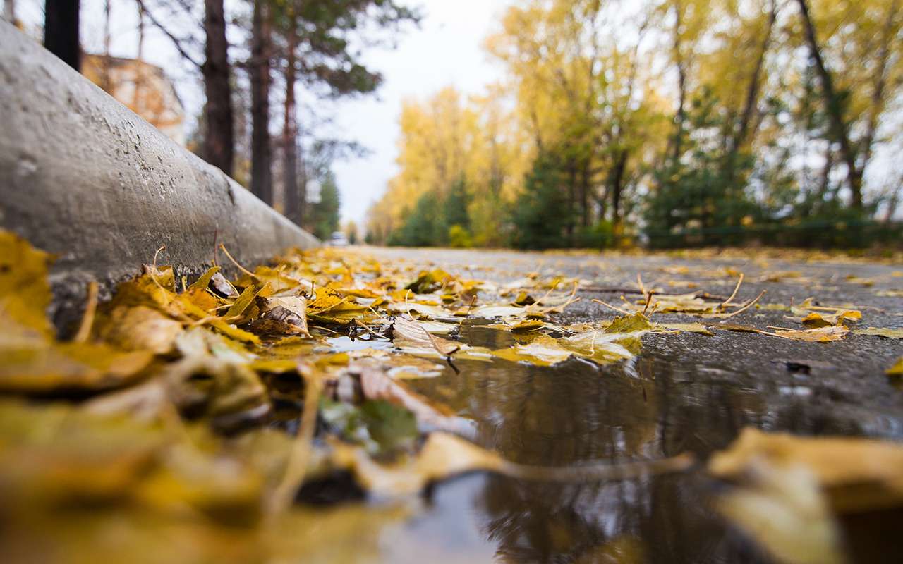 О чем должен помнить водитель в октябре: три главные неприятности