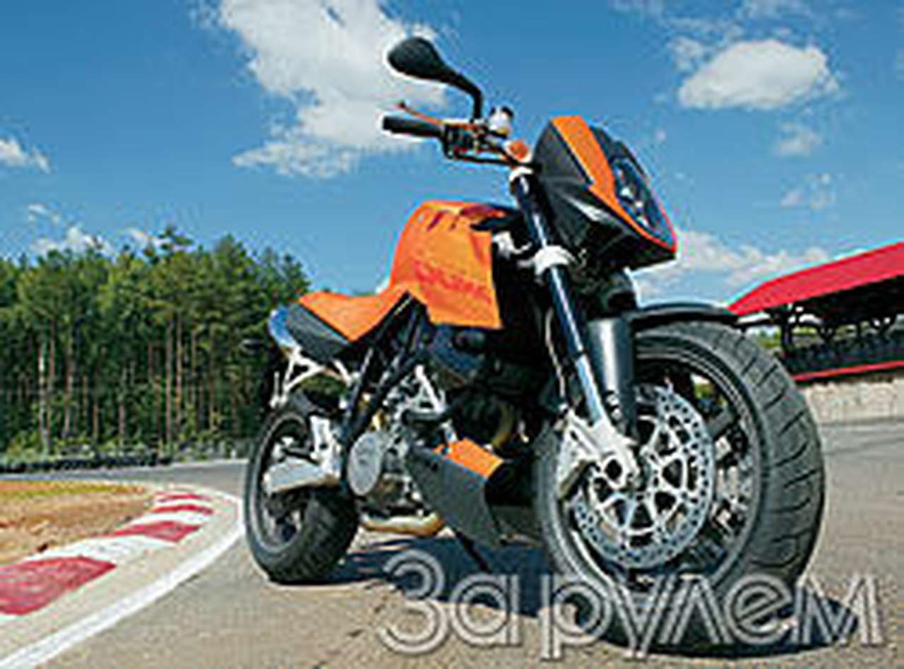 Рыжий вызов