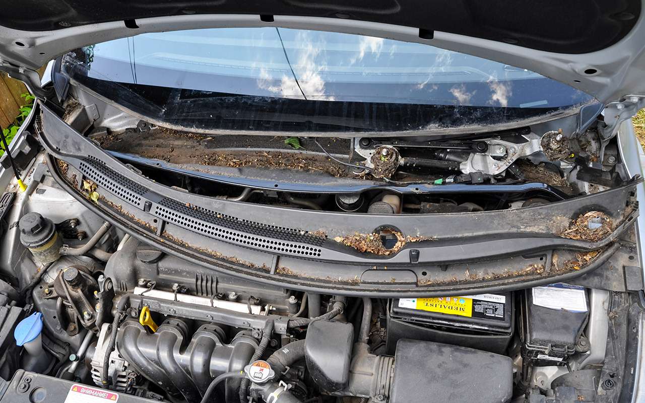 Примерно вот это попадает в легкие тех, кто ленится вовремя поменять салонный фильтр.