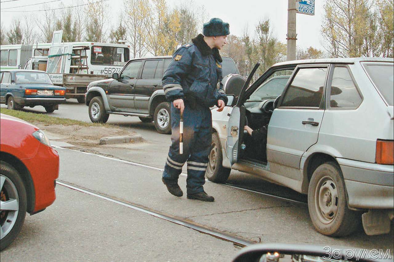 По всем статьям