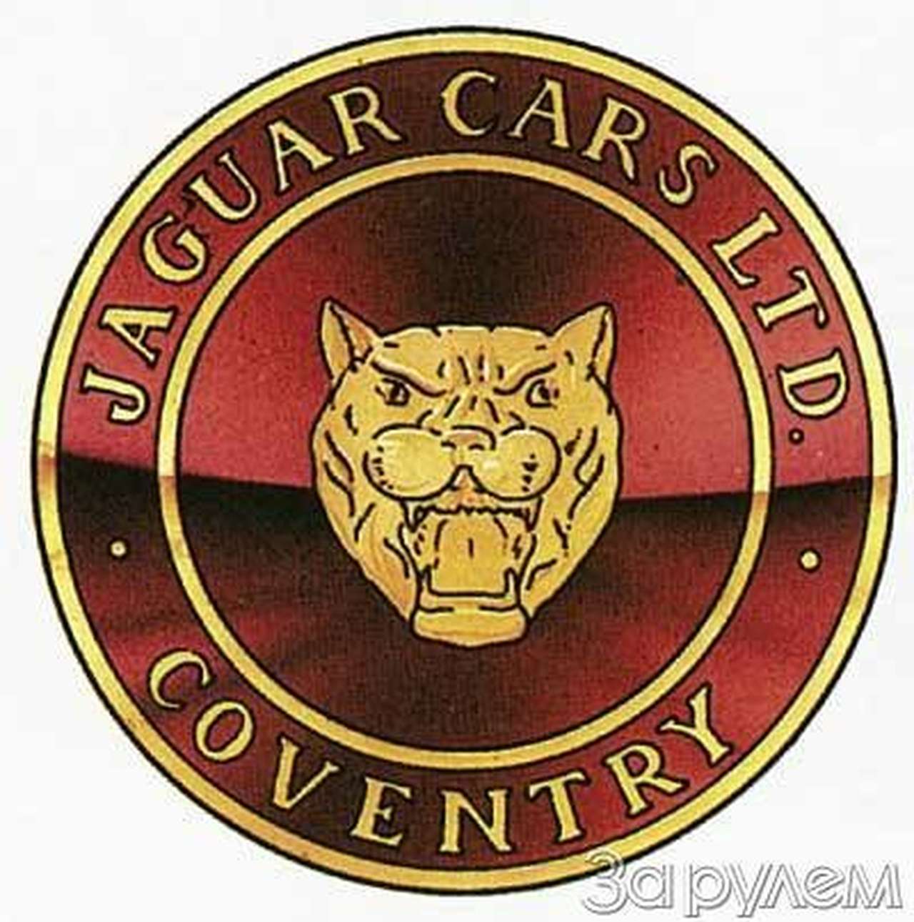 Похождения     британского кота