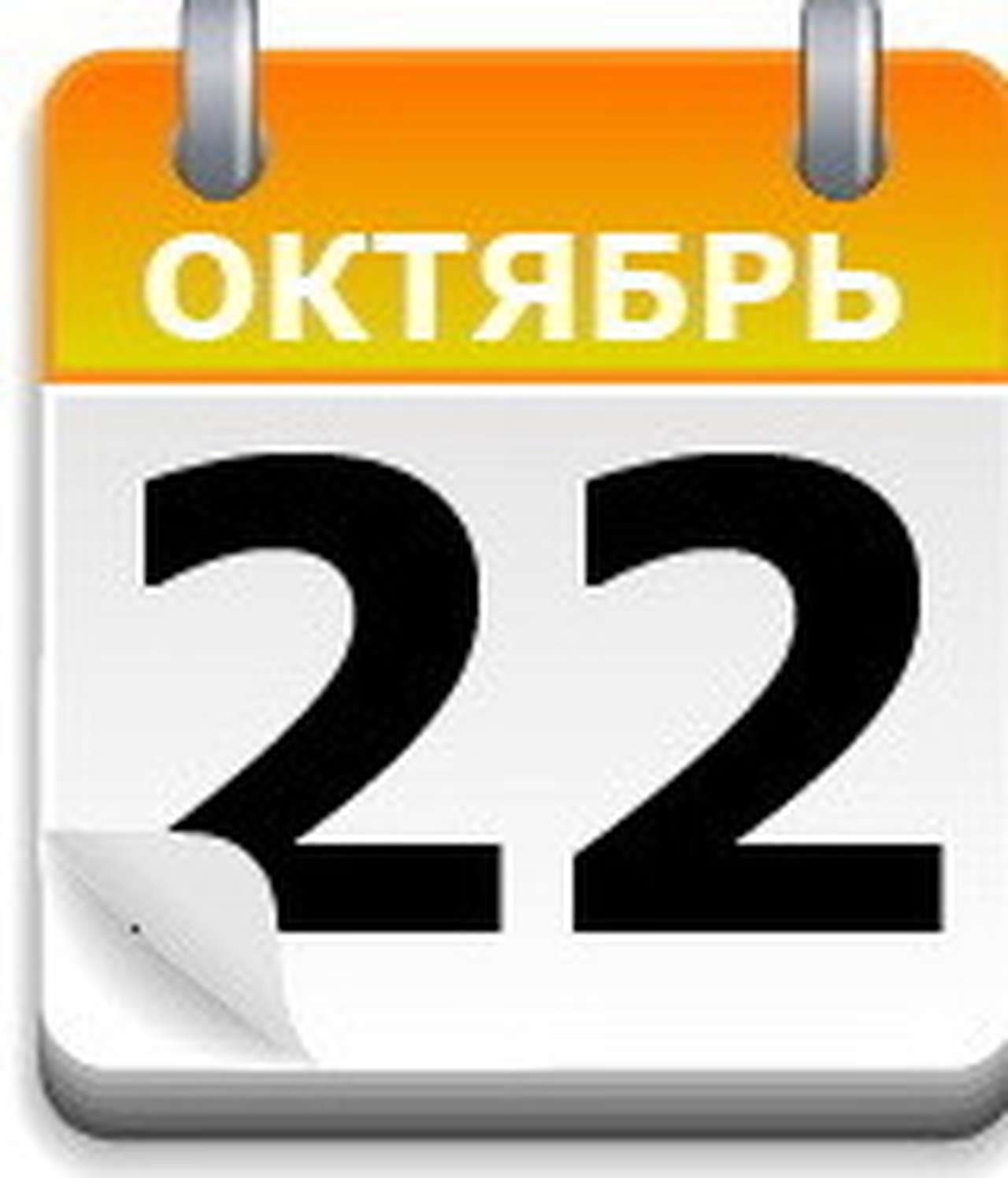 Две машины в гараже