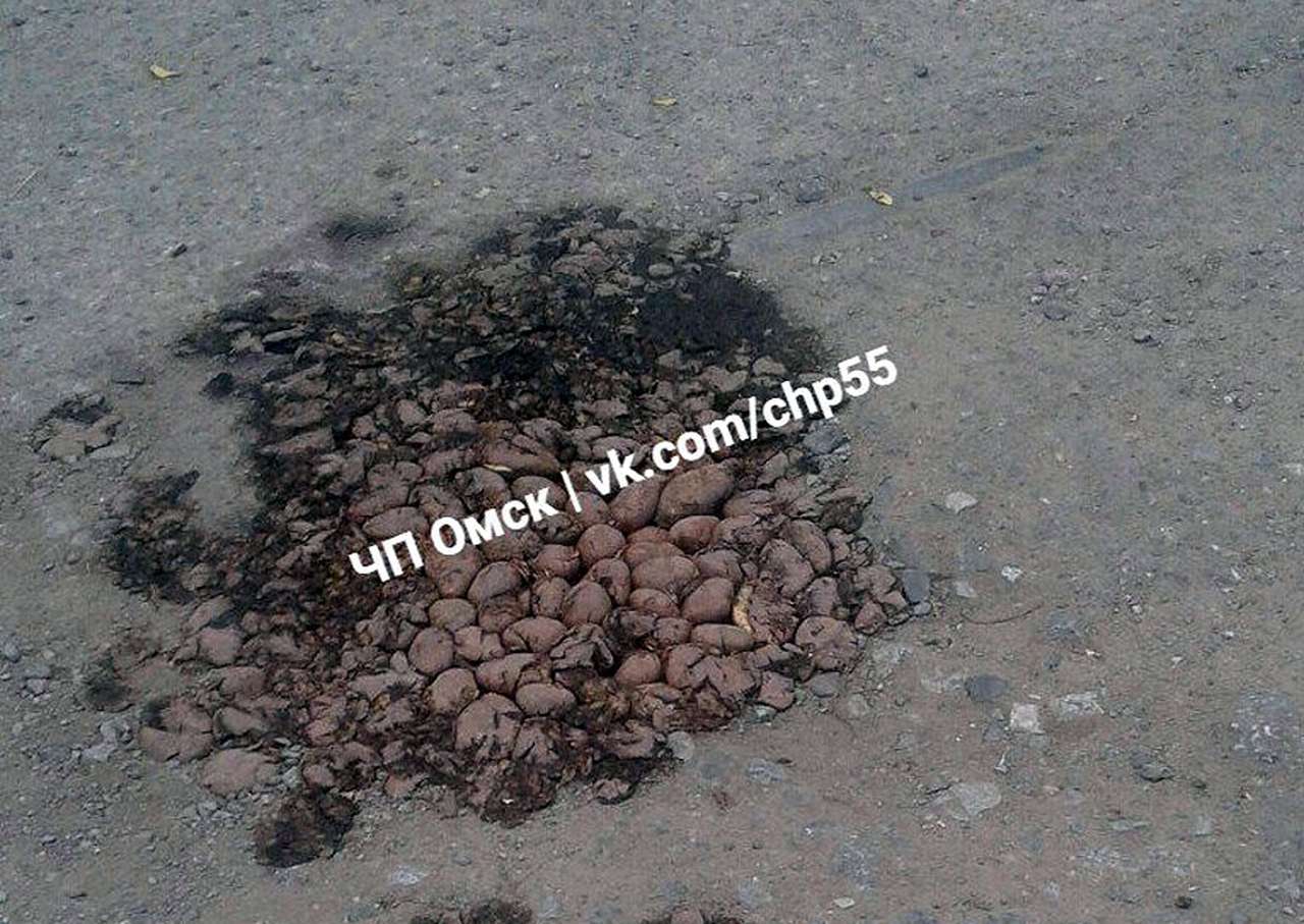 Последний аргумент: дорожные ямы латают... картошкой