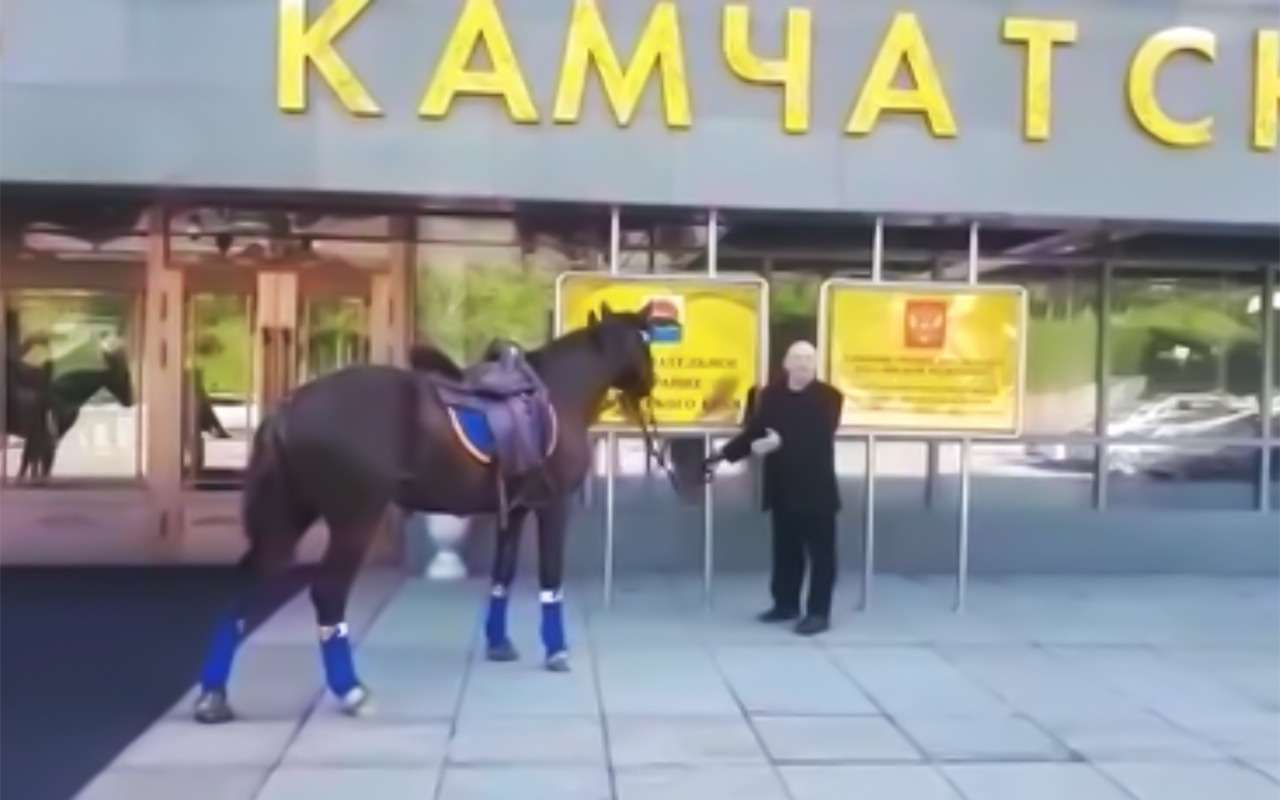 Депутат все же приехал на заседание на коне. И будет оштрафован