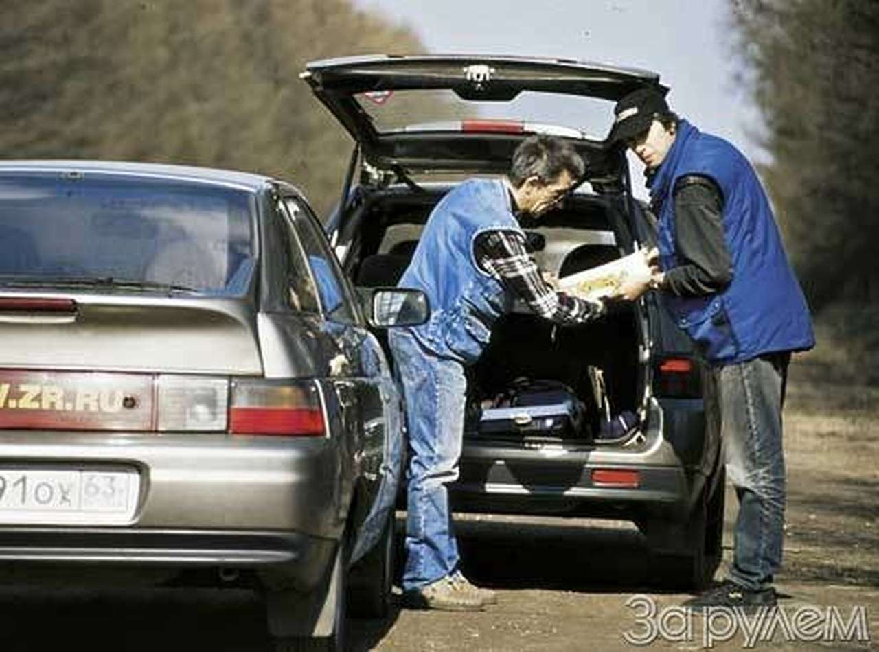 Битюг поневоле