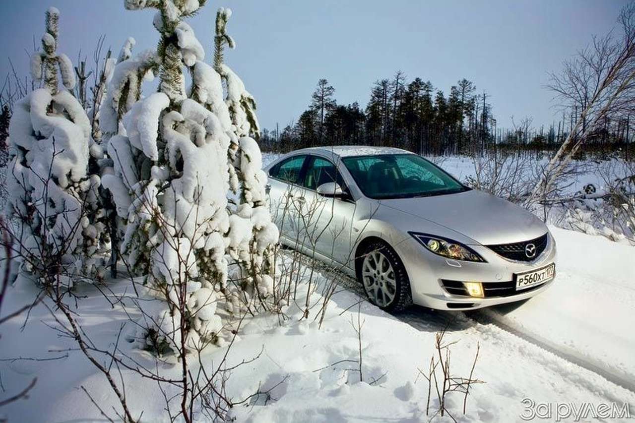 Недостающее звено