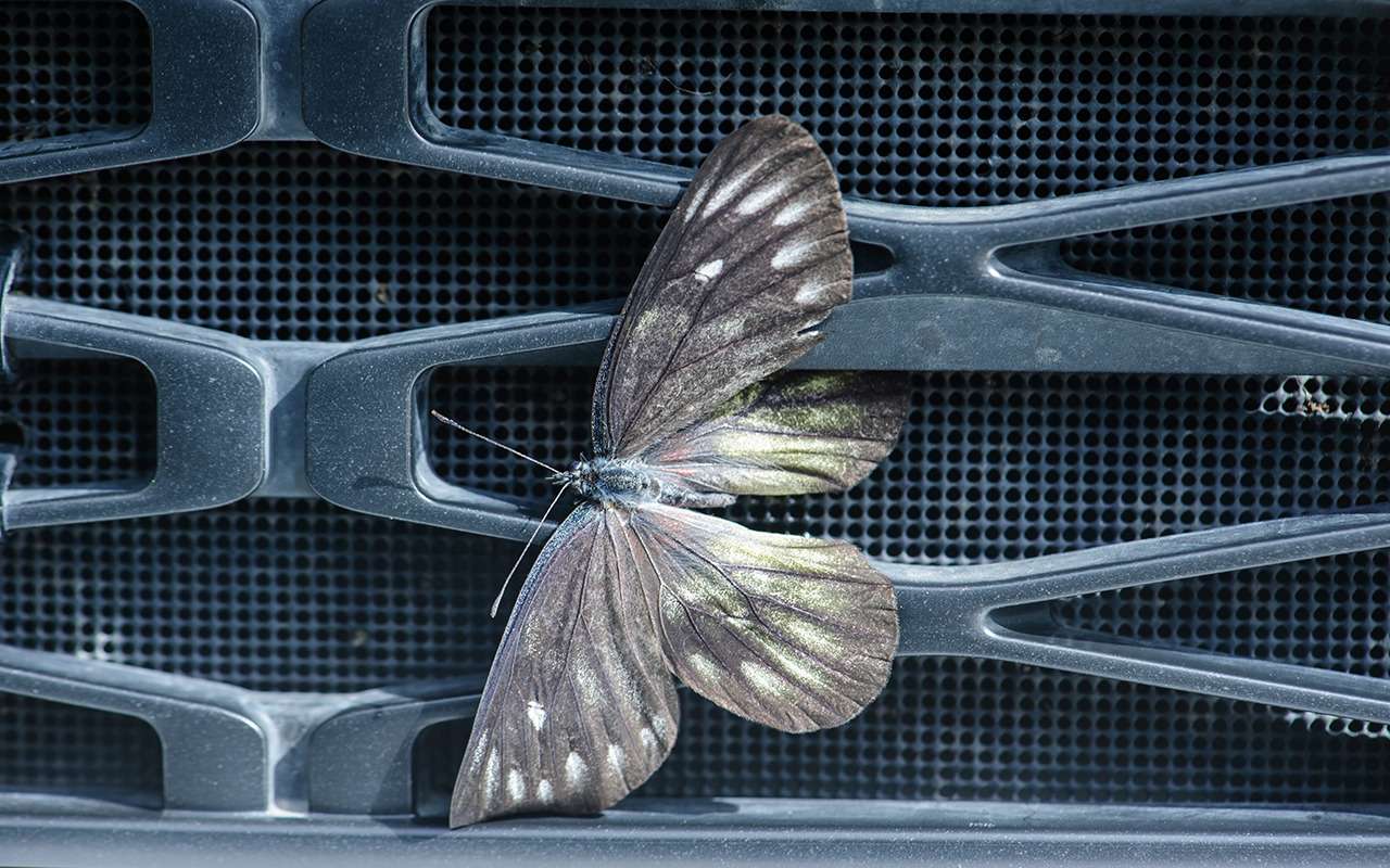 Наводим марафет. Боремся со следами насекомых на кузове, битумными пятнами и остатками стикеров