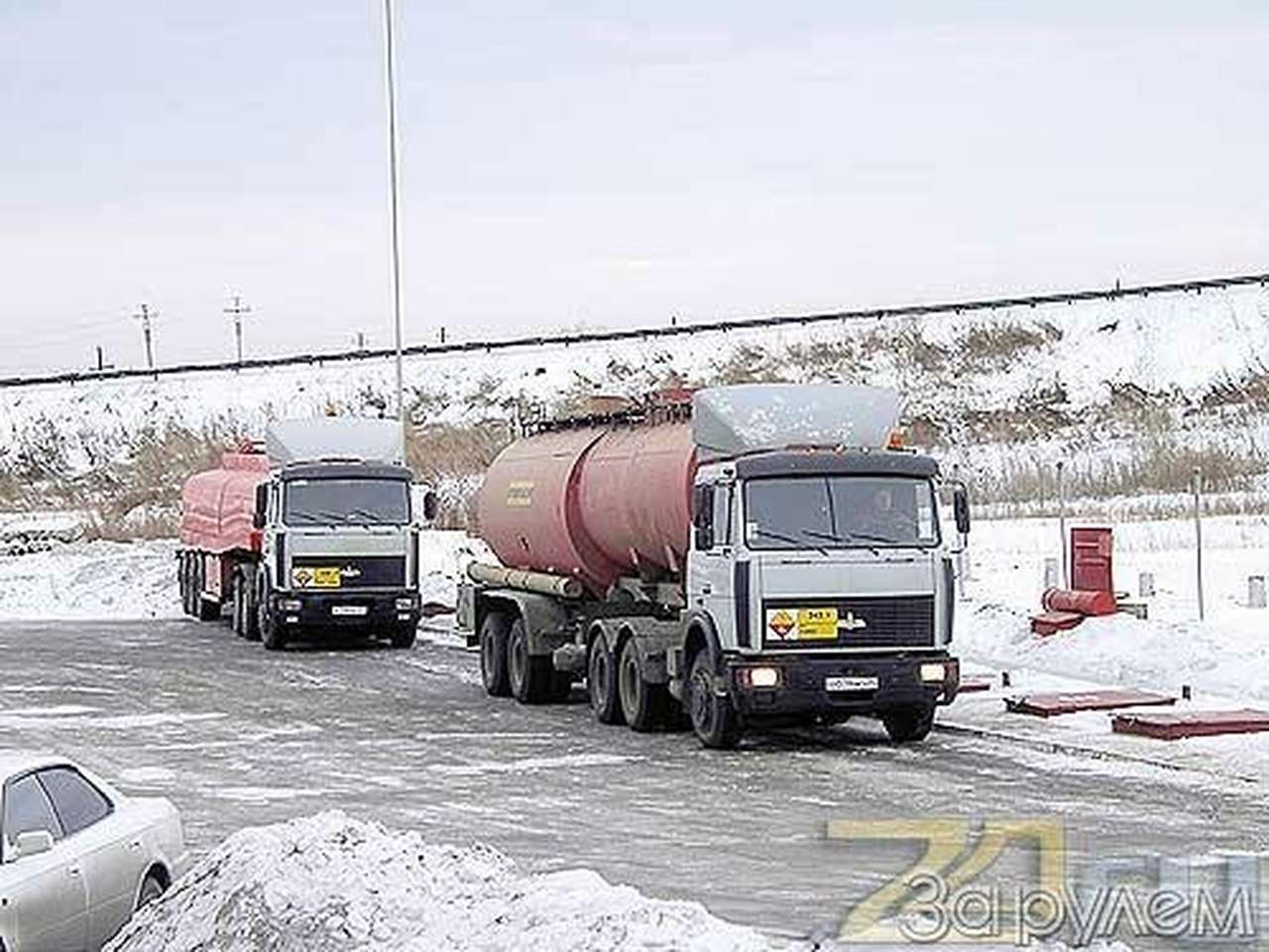 Заполярная «дойная коровка»