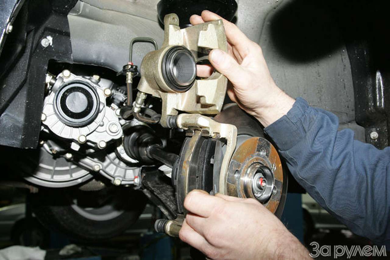 Клубная жизнь в ЗР