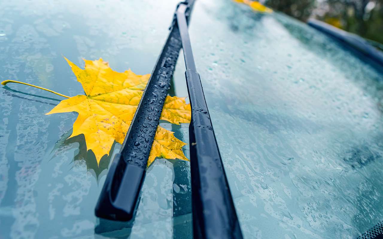 Сделать до осени – что советуют бывалые автолюбители