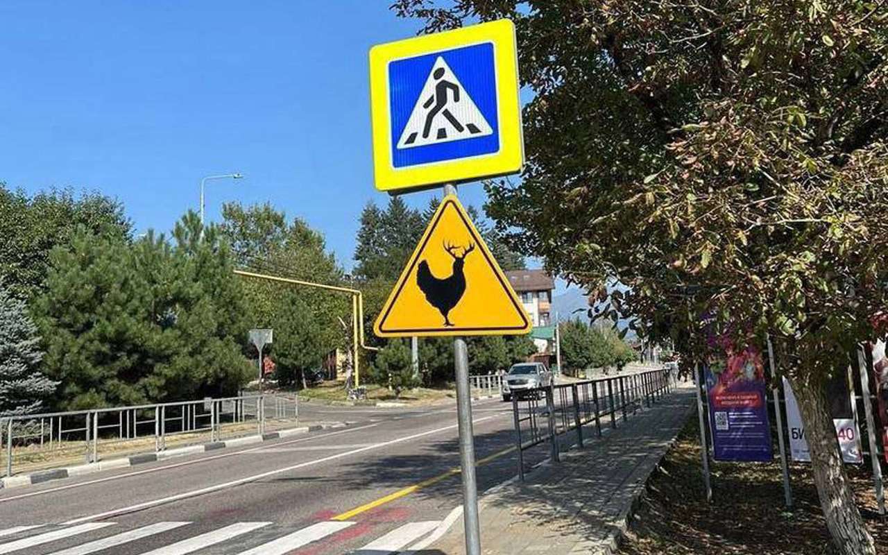 Новый знак – с рогатой курицей. Что он значит?