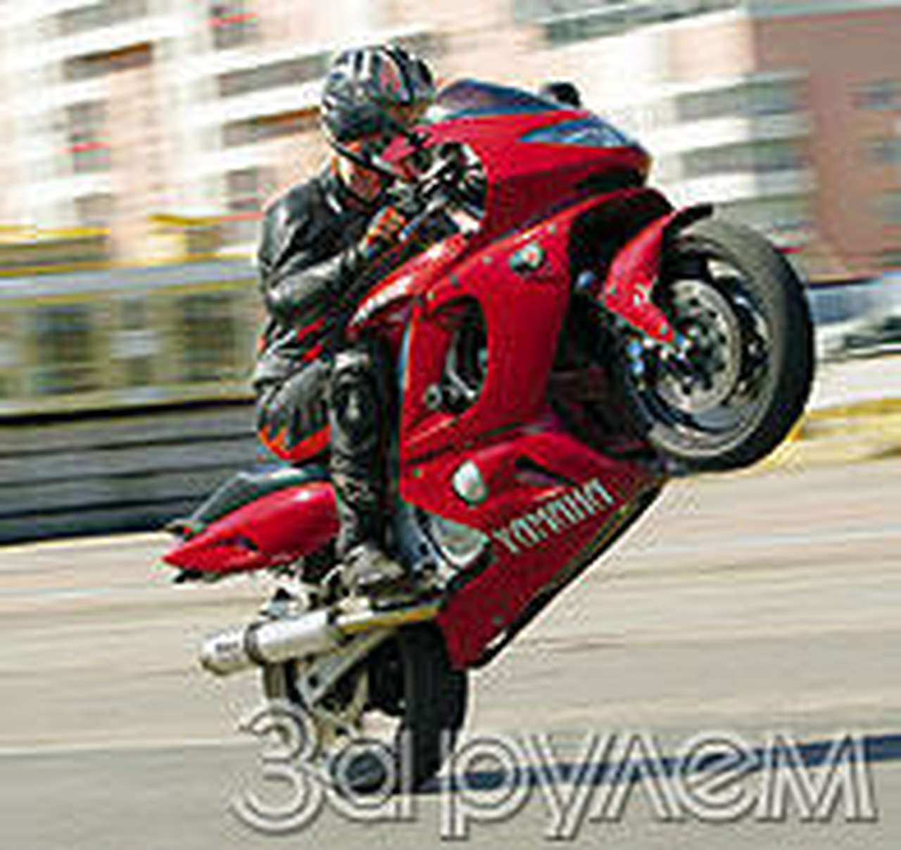 "кошка" - друг человека