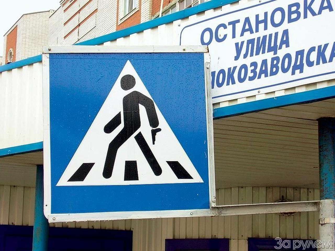 Берегись пешехода!